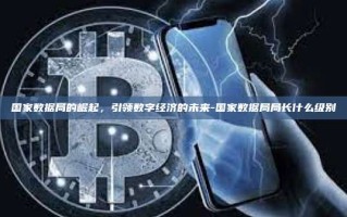 国家数据局的崛起，引领数字经济的未来-国家数据局局长什么级别